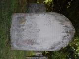 image number DSC_4242